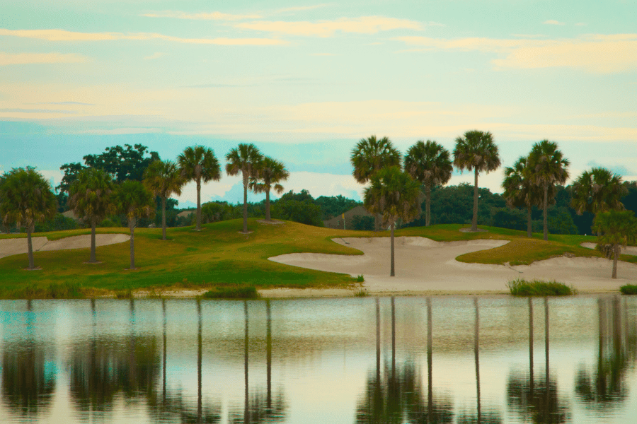 Golf course and palm tree view