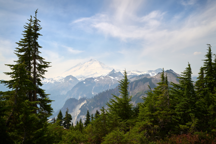 Mount Baker in Washington with snowy peaks and evergreen trees 