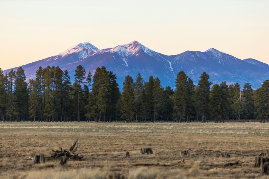 snowy mountain in Flagstaff, AZ during sunset with pine trees