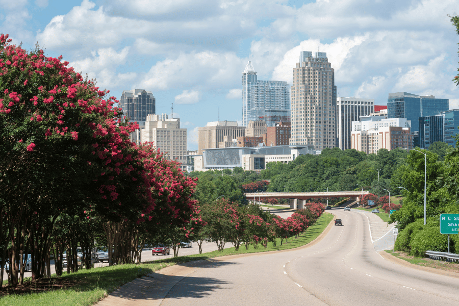 Raleigh, NC skyline in the summer when the trees are in bloom