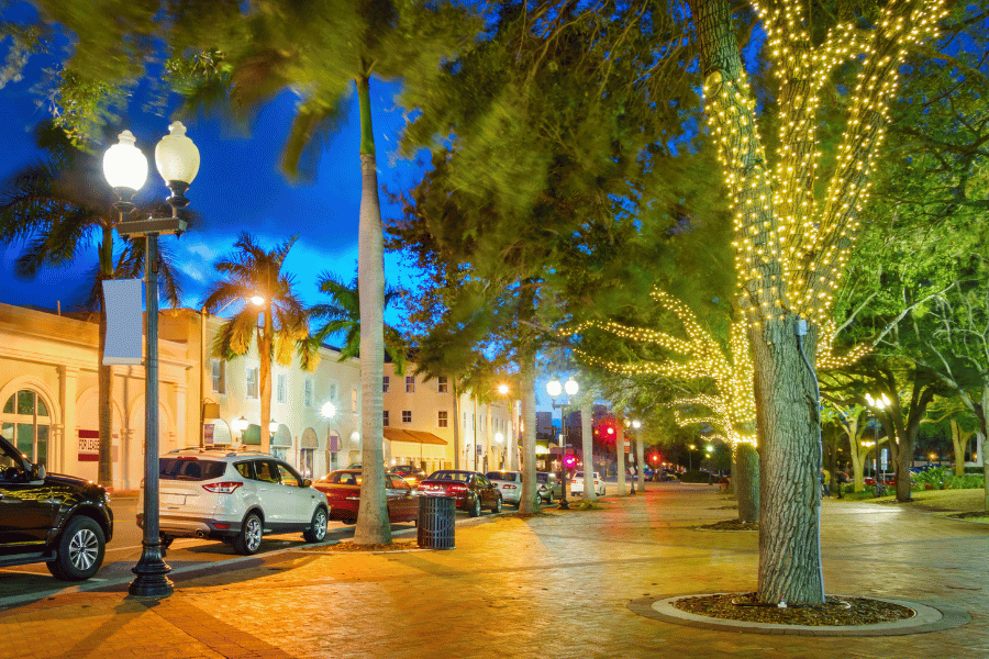 Sarasota downtown area at night with lit up tree