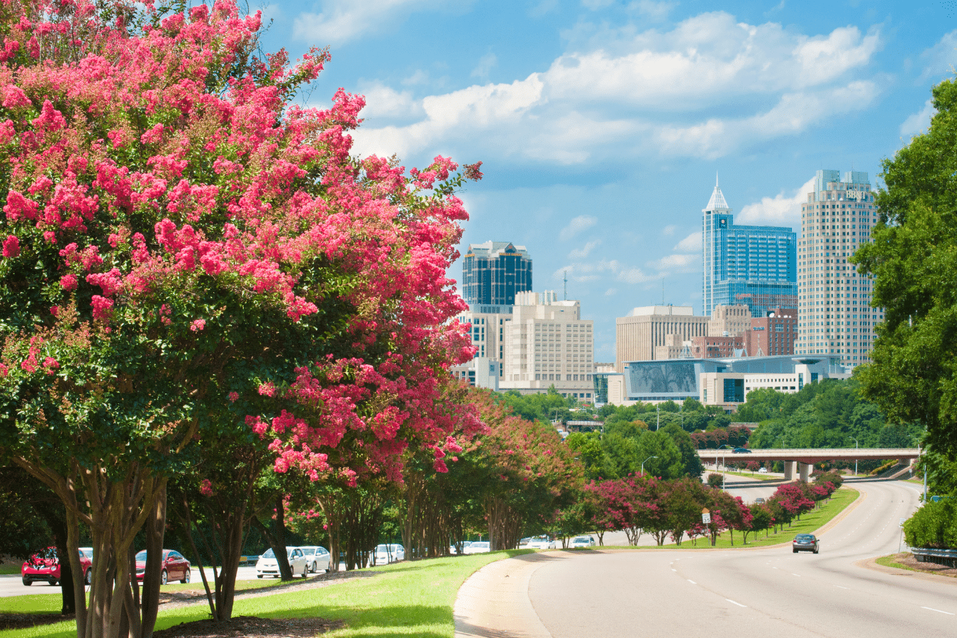 Cary NC is a suburb of Raleigh North Carolina 