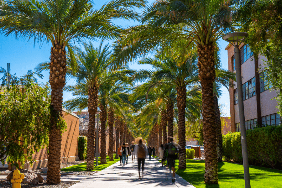 Students walking to class at Arizona State University on a clear day outside next to palm trees 