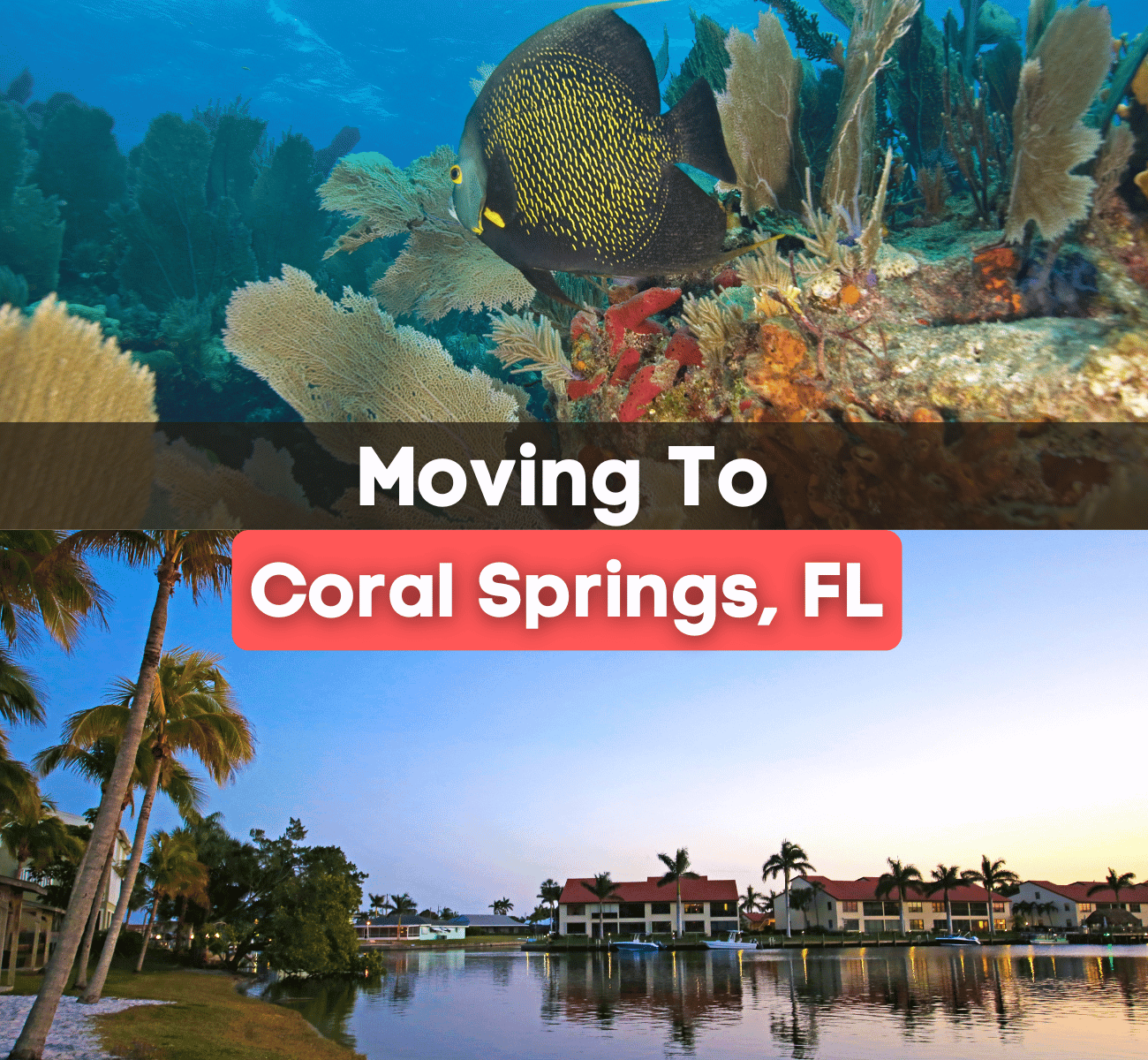 moving to Coral Springs graphic with fish and coral and houses near water and palm trees