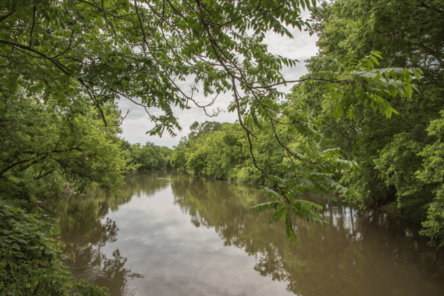 River in Naperville, IL on a cloudy day with greenery