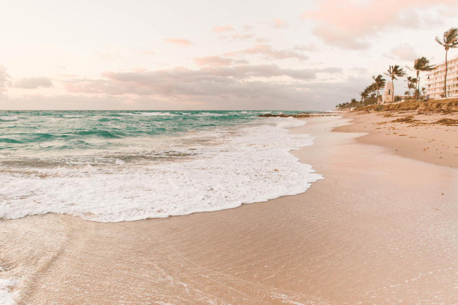Ocean and beach in Palm Beach, FL with palm trees 