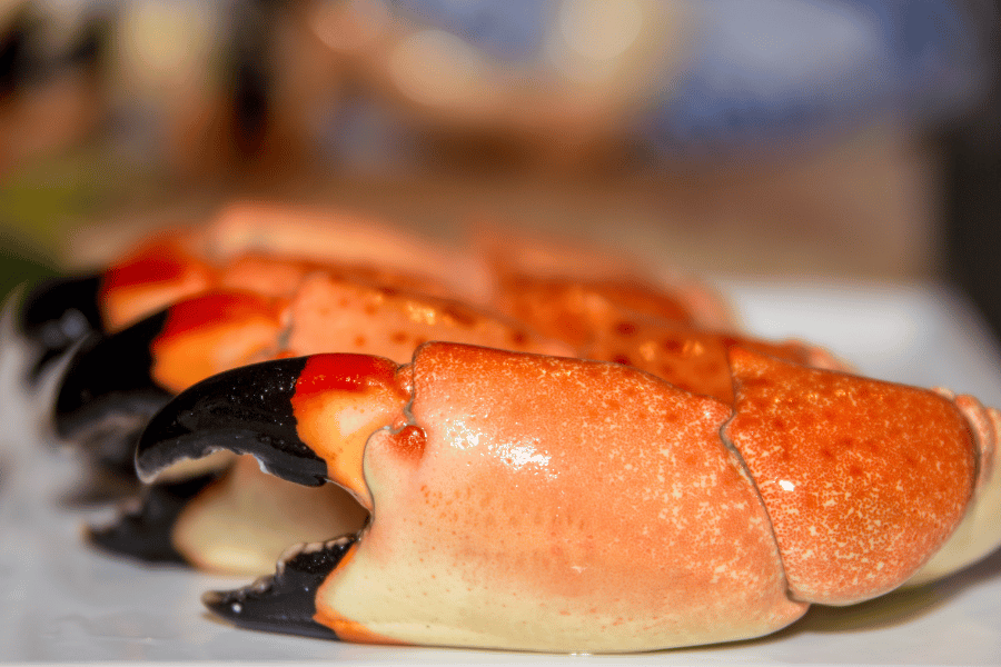 Stone Crab Legs on a plate close up 