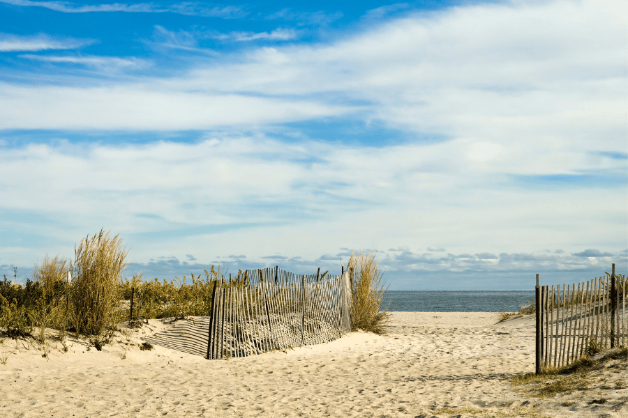 New Jersey beach with seagrass and sand