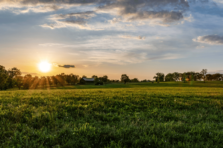 Kentucky sunset view and grass land