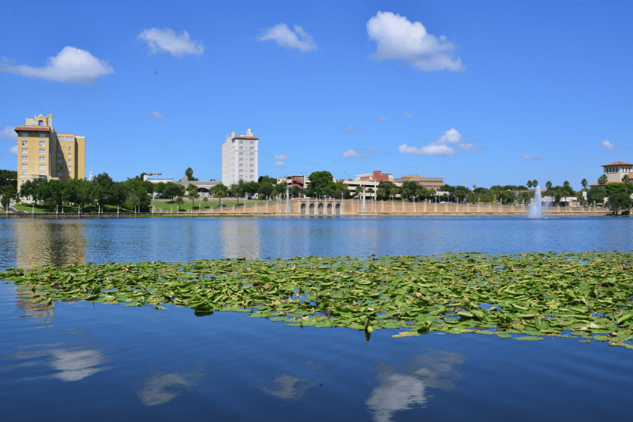 Beautiful lake mirror in Lakeland, FL with Lilly pads and buildings in the background