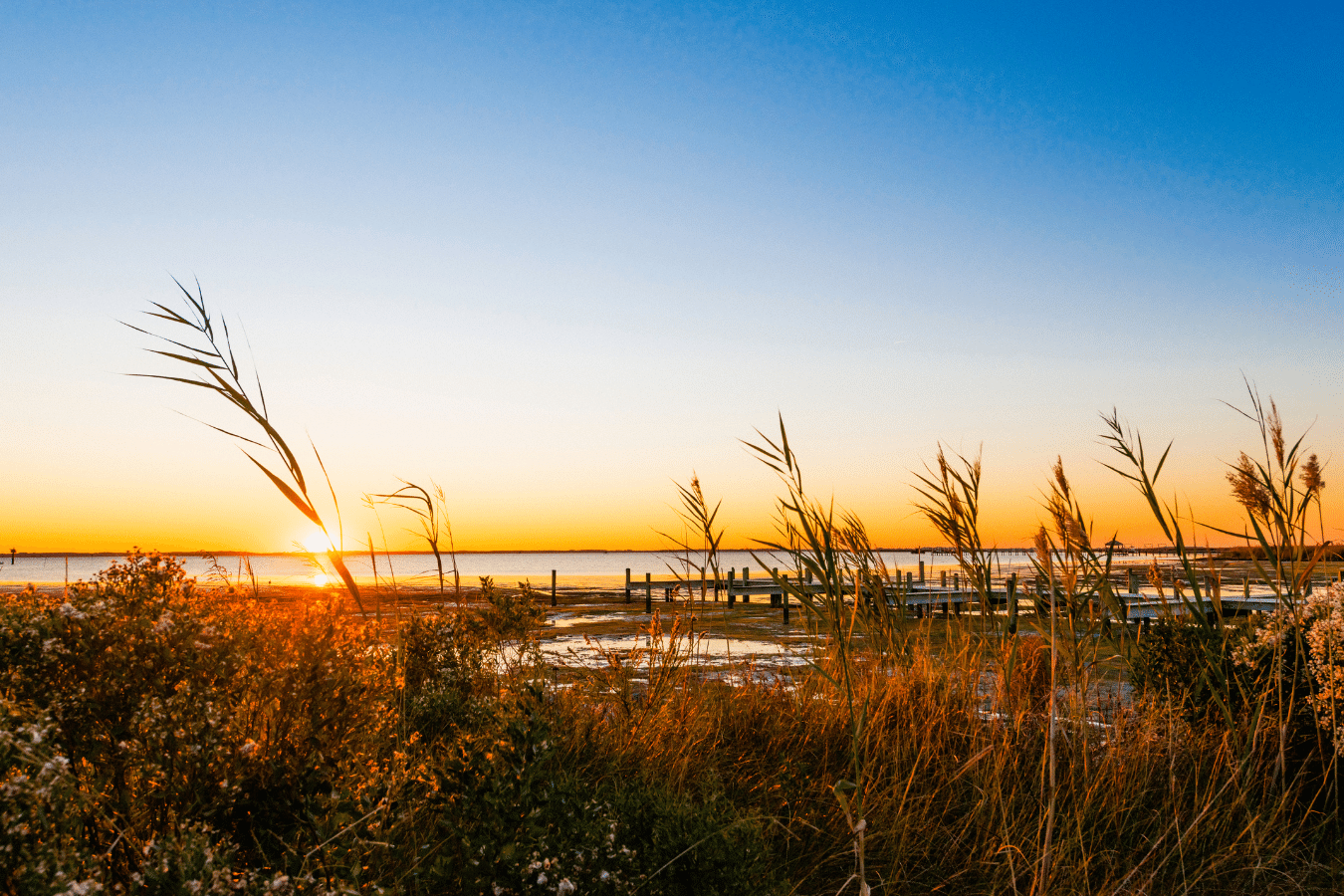 A photo of North Carolina beach which is two hours away from Wake Forest