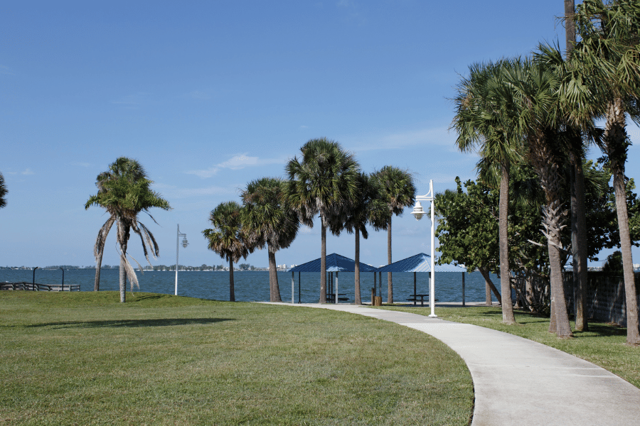 Bayfront sidewalk sarasota florida palm trees 