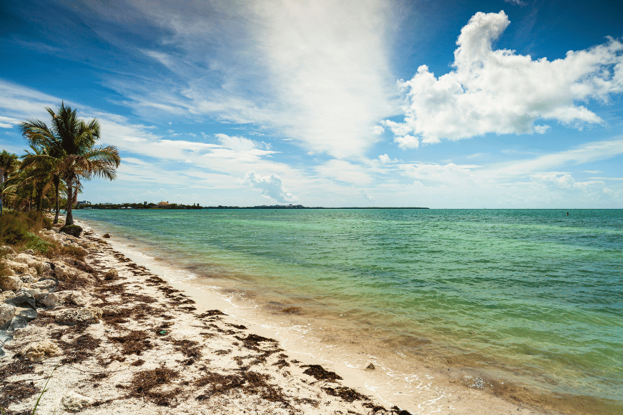 Key Biscayne Beach sand, blue water, and palm trees