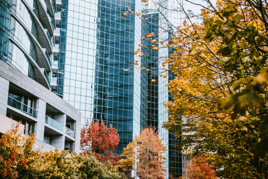 Buildings and cityscape in Bellevue, WA 