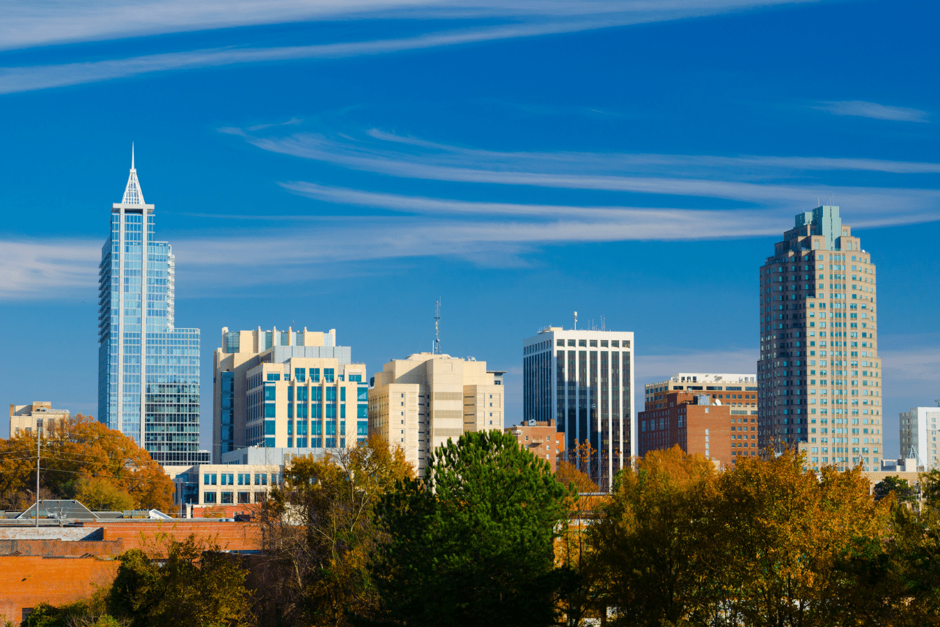 Downtown Raleigh Skyline 15 minutes away from Clayton NC