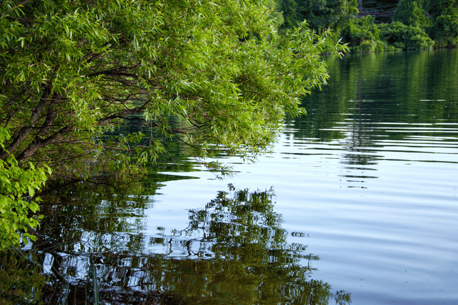 crystal lake in Newton, MA on a sunny day