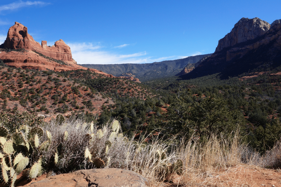 Red Rock State Park in Sedona with cacti