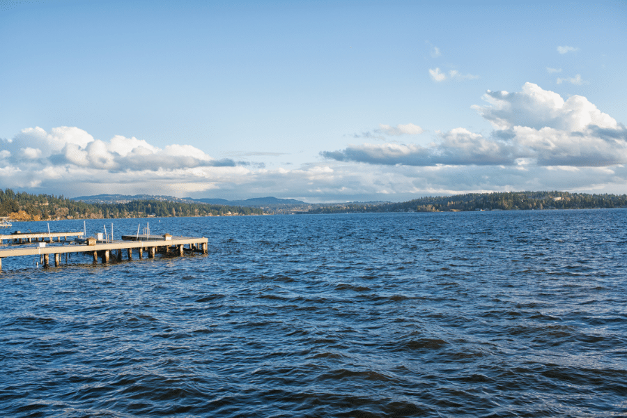 Lake Washington in Bellevue, WA on a sunny day