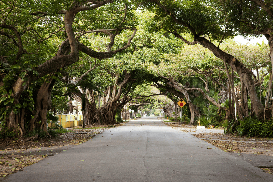 coral gables tree park trails