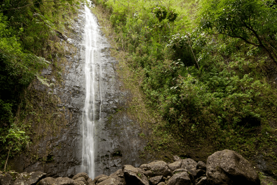 Manoa Falls in Hawaii near lush vegetation and rocks