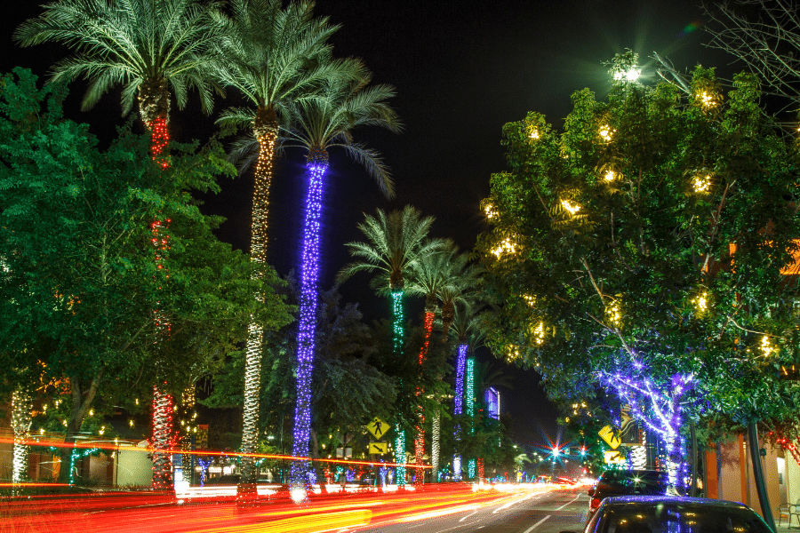 Colored lights on palm trees and cars driving around at night in Chandler, Arizona