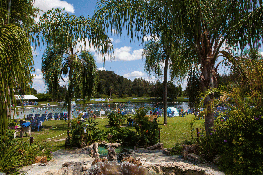 Warm Mineral Springs Park Water Lake Pond