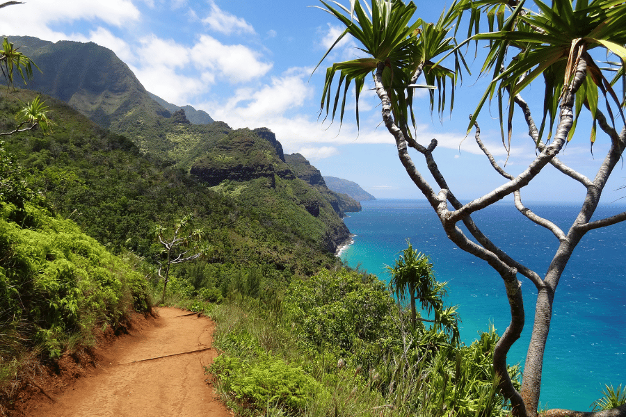 Beautiful coast in Kauai, HI with lush greenery near the ocean