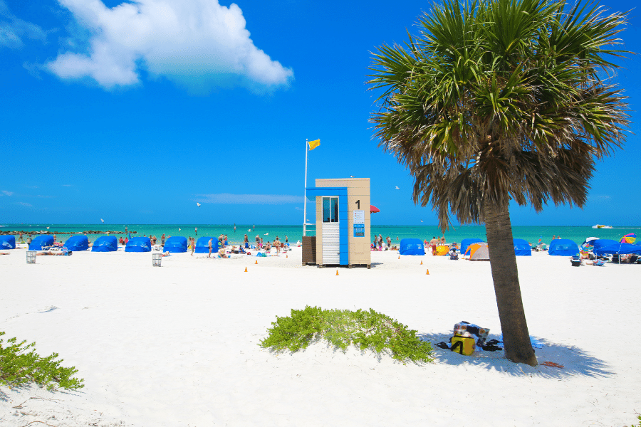 Clearwater Beach on a sunny day with blue umbrellas and a palm tree