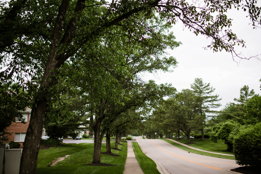 Quiet neighborhood street in Cincinnati Ohio