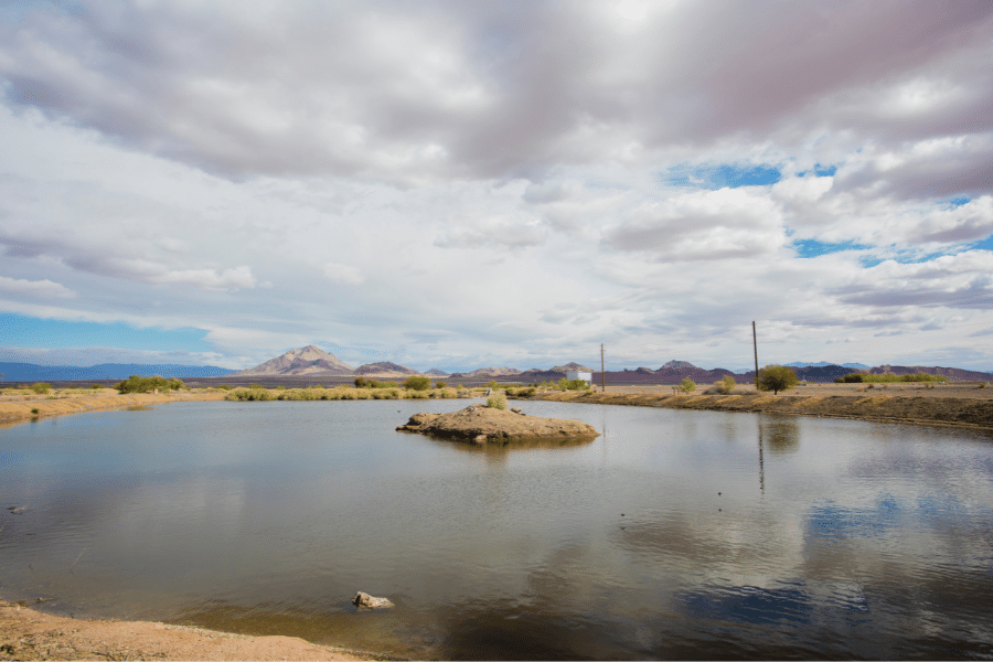 The Henderson Bird Viewing Preserve on a cloudy day with a lake and mountains in the background