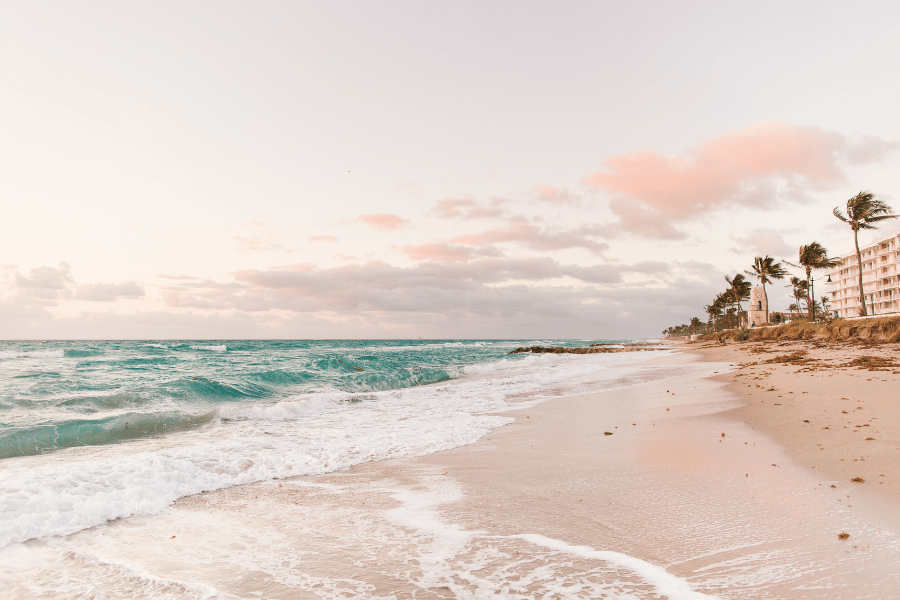 Beach in Palm Beach, FL with palm trees during sunset