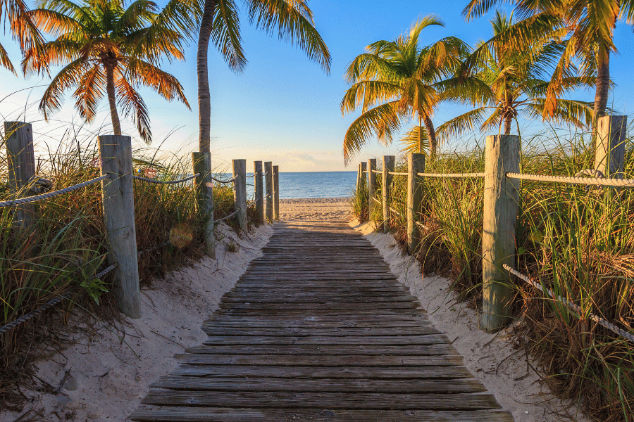 Image of a sandy beach from a boardwalk with palm trees on each side