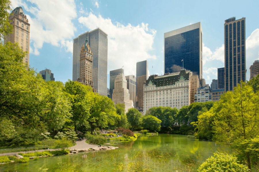 Beautiful Central Park in Manhattan with lush greenery 