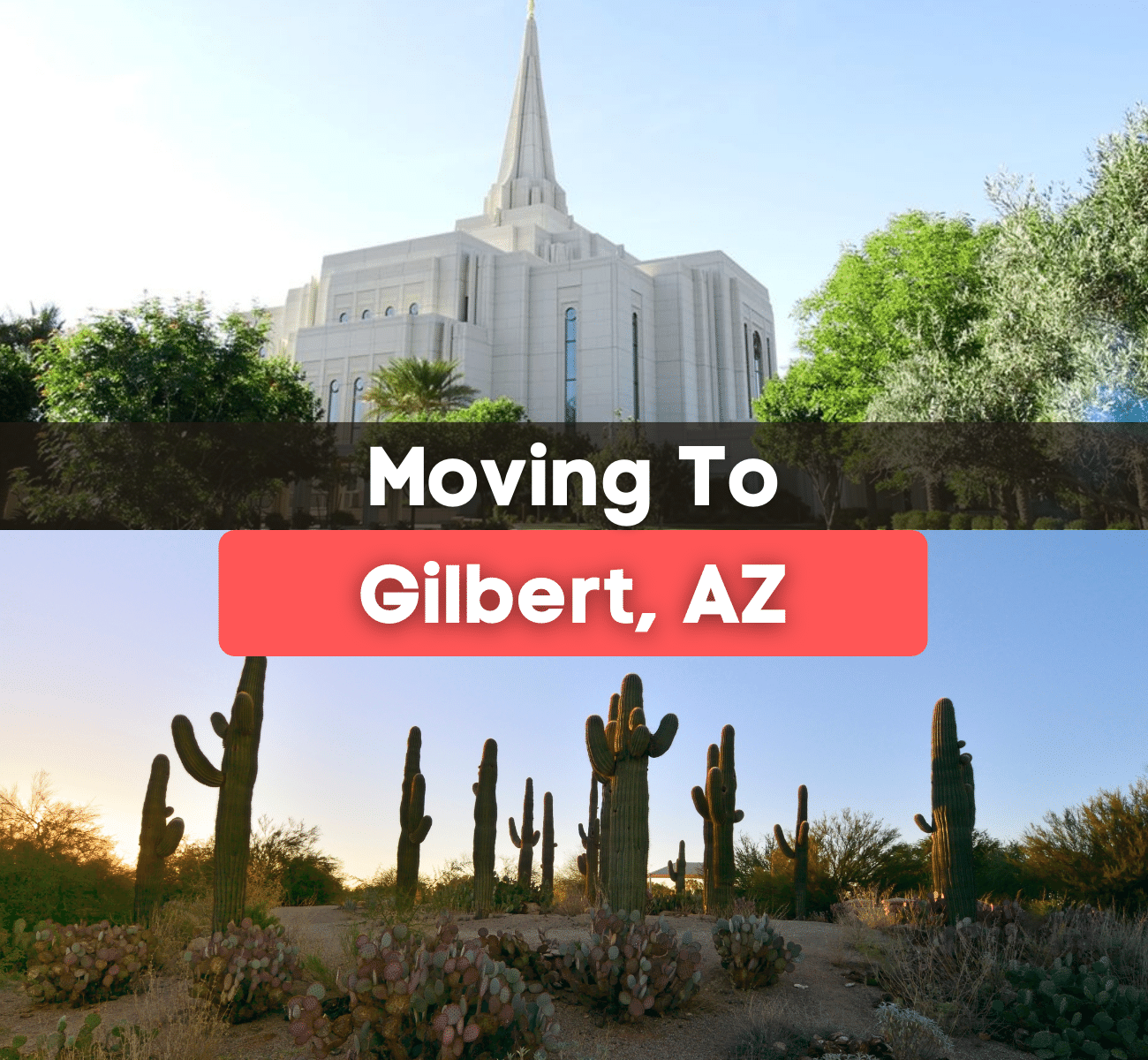 The Gilbert Temple Arizona with palm trees on a sunny day and cacti in the desert during the sunset