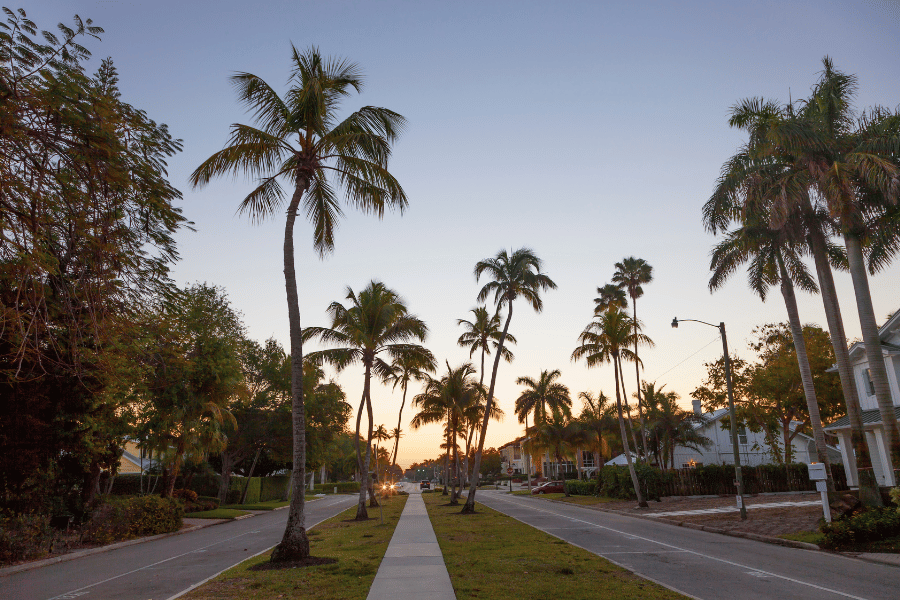 neighborhood in Naples, homes, sunset, palm trees, road