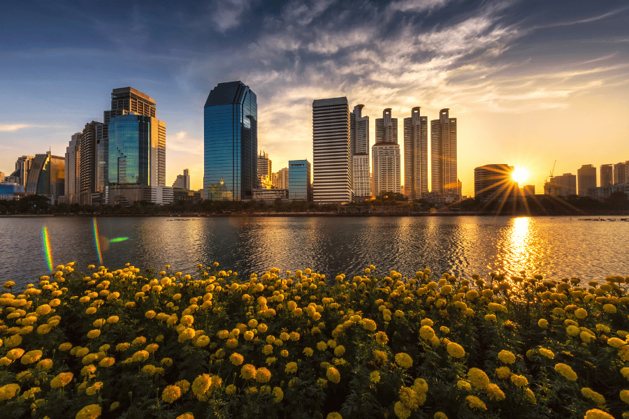 Philly skyline with yellow flowers in the forefront and the sunset over the water