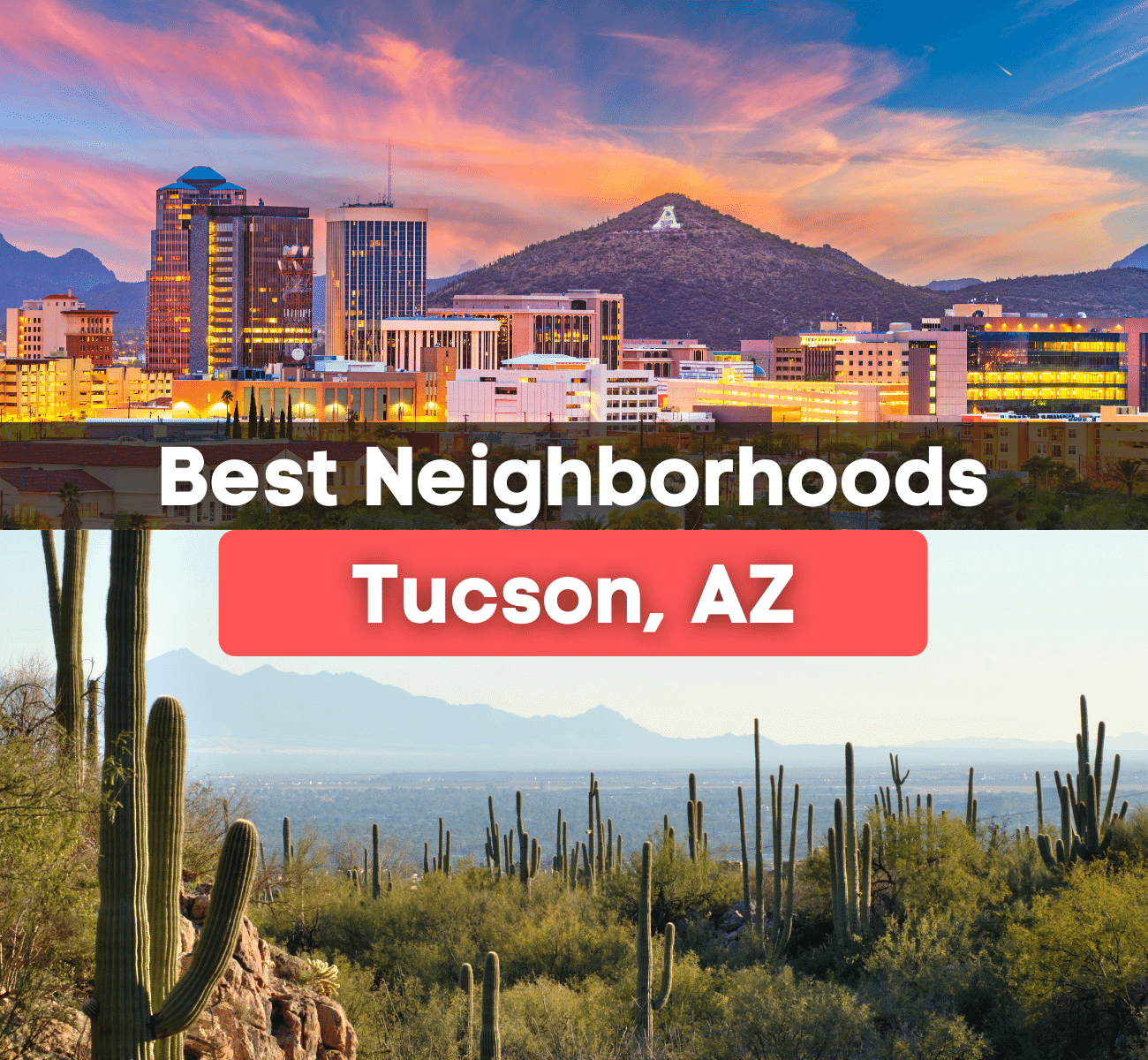 Tucson, Arizona sunset city view and view of the Sonoran Desert with cacti