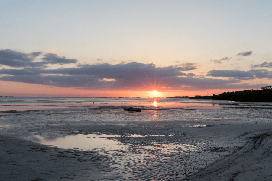 Bunche Beach Preserve pink sunset 