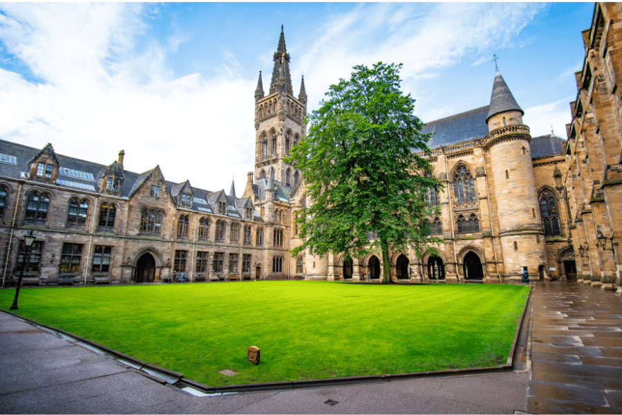 Princeton University campus with greenery and a tree