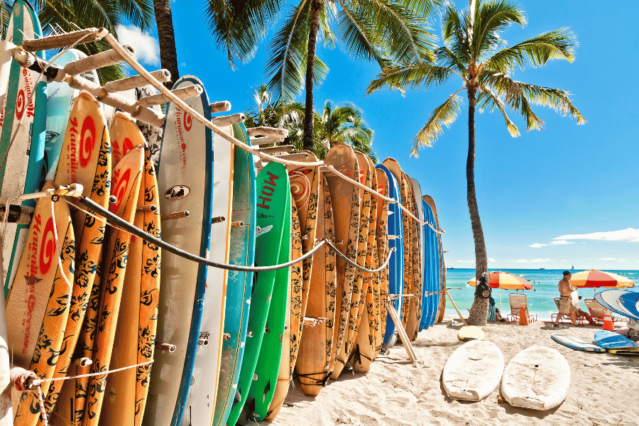 Surfboards lined up at Waikiki Beach next to palm trees