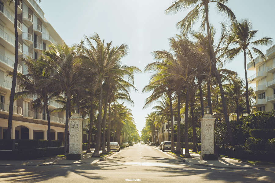 West Palm Beach Street with palm trees and cars 