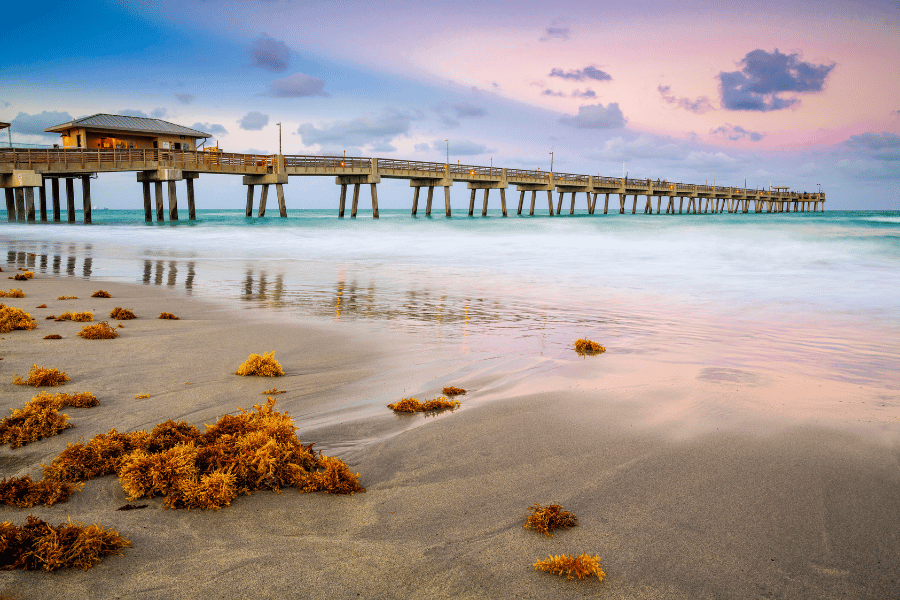 The Dania Beach Fishing Pier during a pink sunset