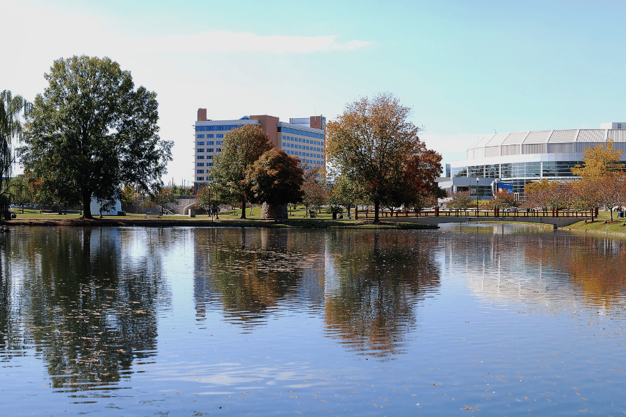 Lake view of city