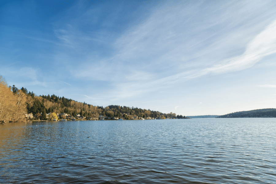 Bellevue, WA lakeshore on a sunny day