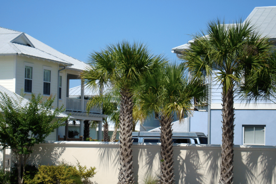 houses and palm trees in Coral Springs, FL