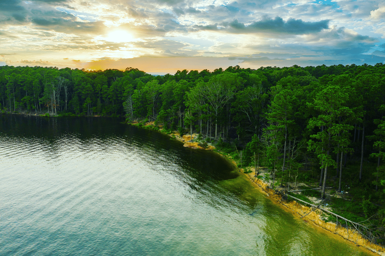 Neighborhoods on the lake in Apex, NC