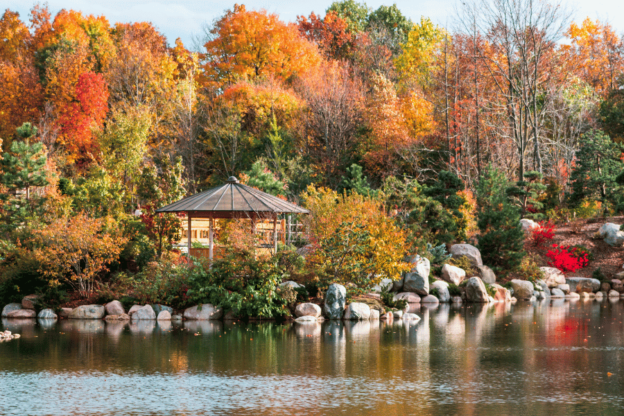 Lake and fall leaves in Grand Rapids