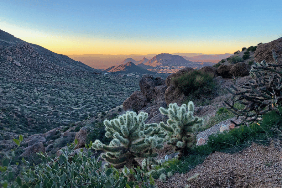 sunset in Scottsdale over the desert with cacti