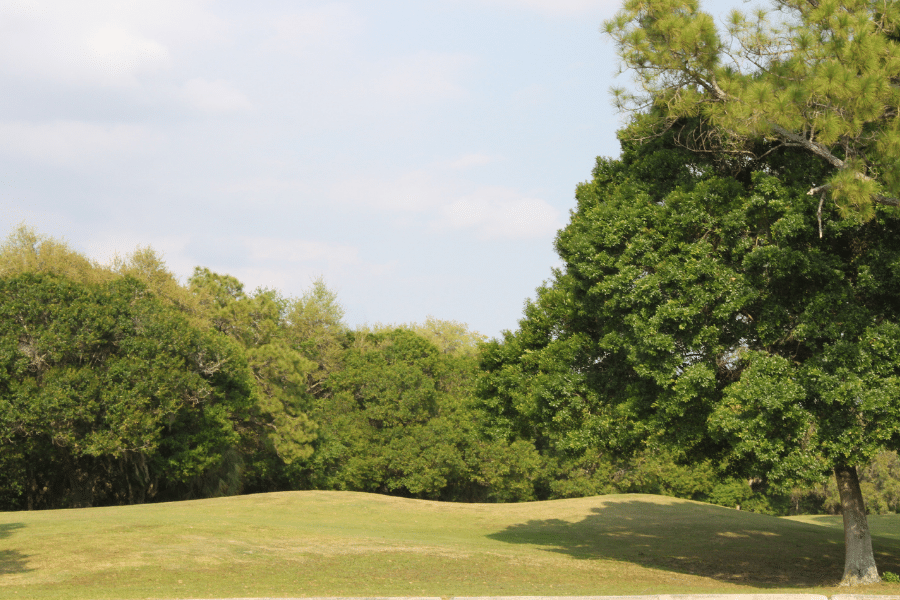 Golf course in Cape Coral, FL with trees on a sunny day