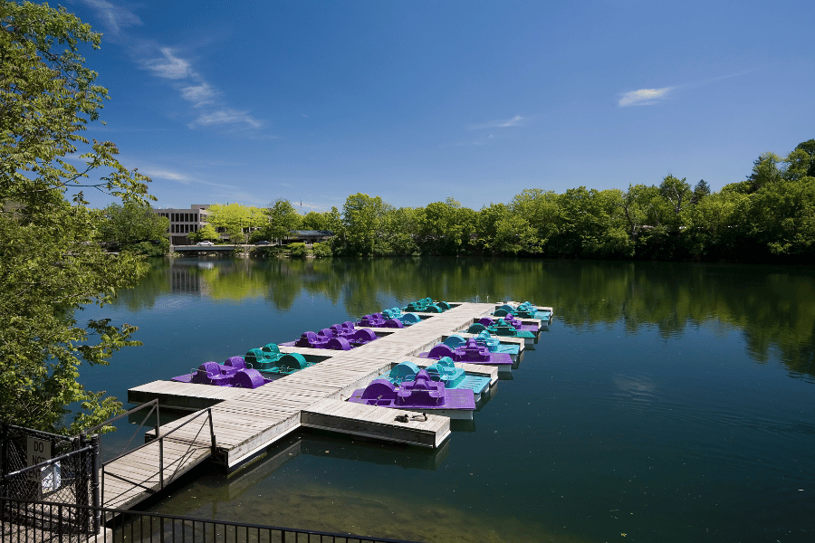 Naperville, IL Paddleboats on the river clear sky and trees 